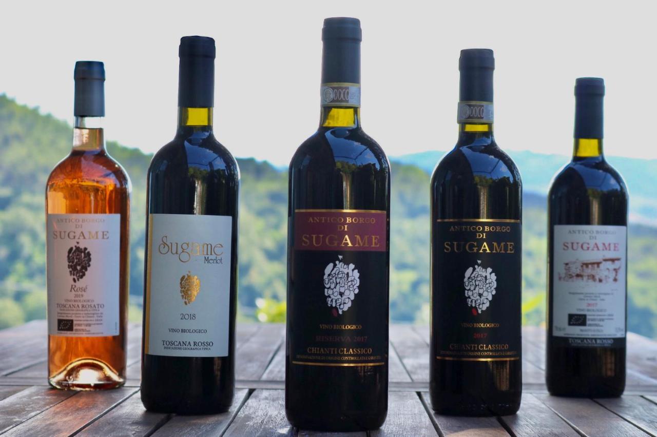 Antico Borgo Di Sugame Villa Greve in Chianti Exteriör bild
